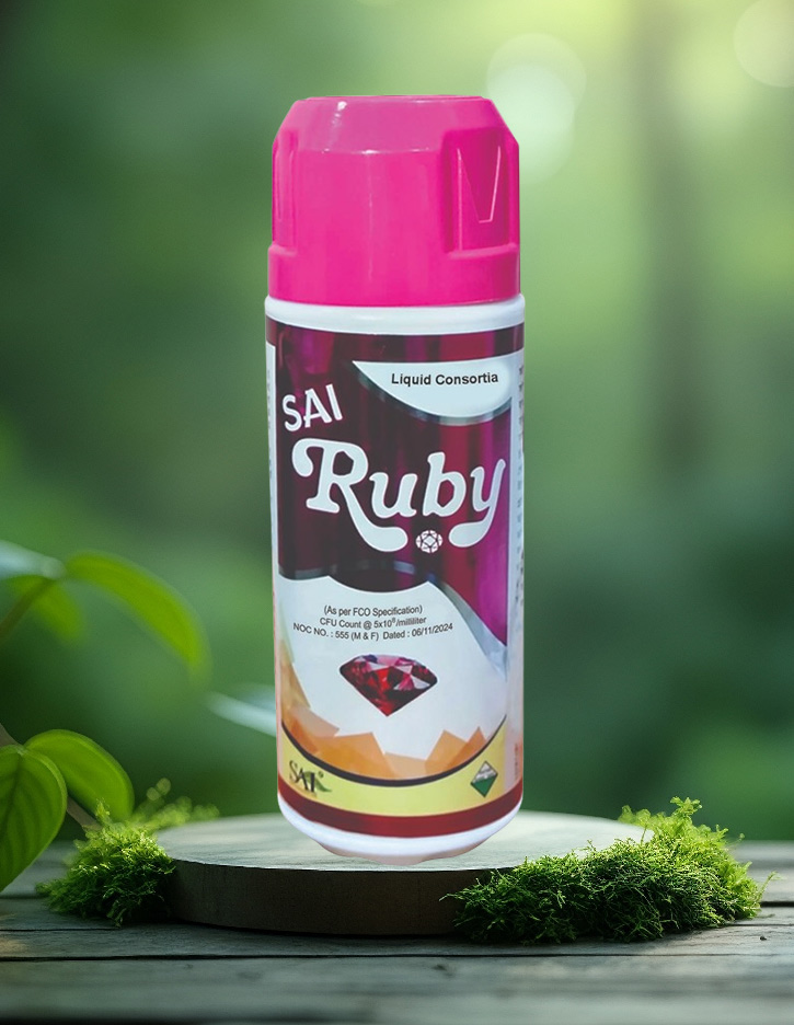 Sai Ruby