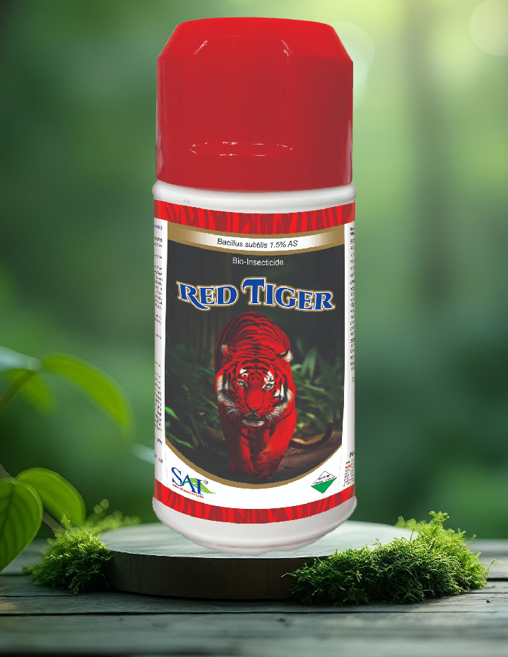 Sai Red Tiger