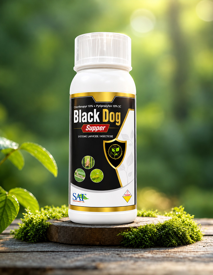 Black Dog Supper